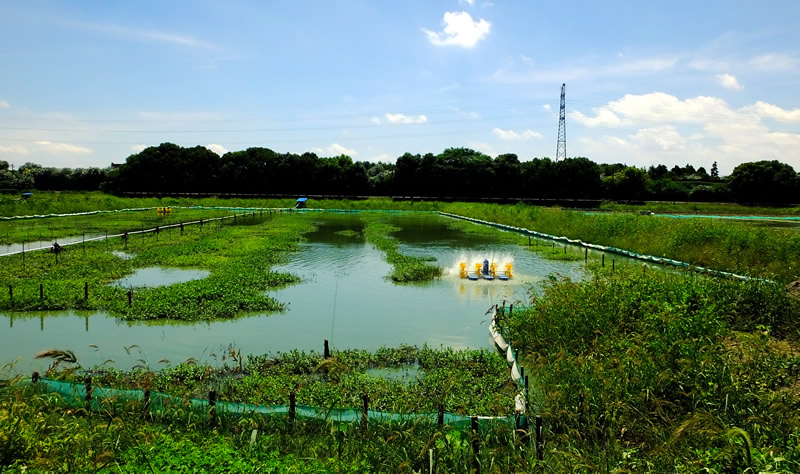 養(yǎng)殖基地